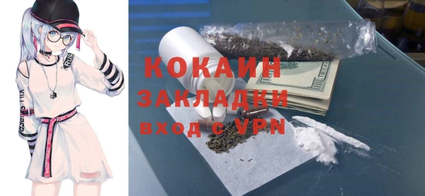 стафф Дмитров