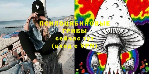 apvp Дмитриев