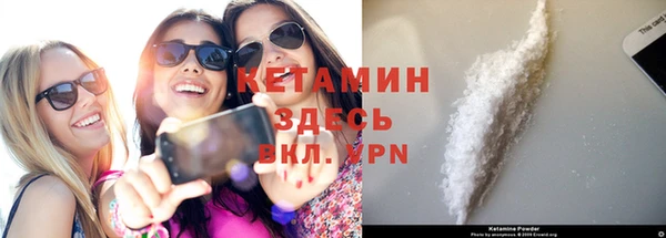 стафф Дмитров