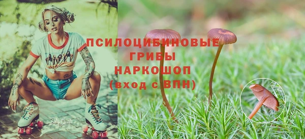 стафф Дмитров