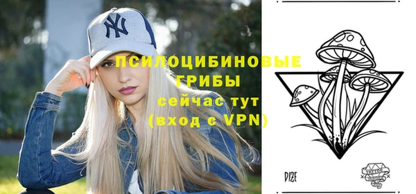 apvp Дмитриев