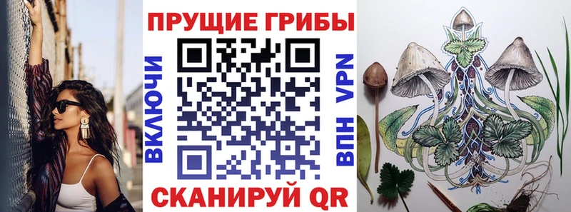 Галлюциногенные грибы Psilocybe  Купить где  Поворино 